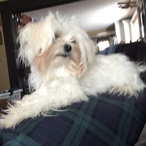 Meet your Posher, Kay